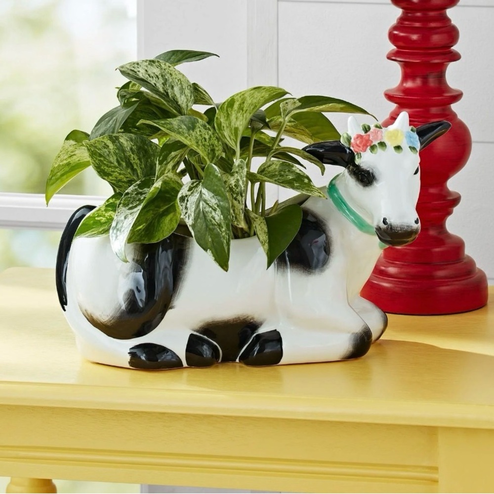 S•A•L•E🔥Pioneer Woman Planter Black & White Cow Ceramic Sold Out